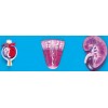 KIDNEY, NEPHRON & GLOMERULUS (SOFT)